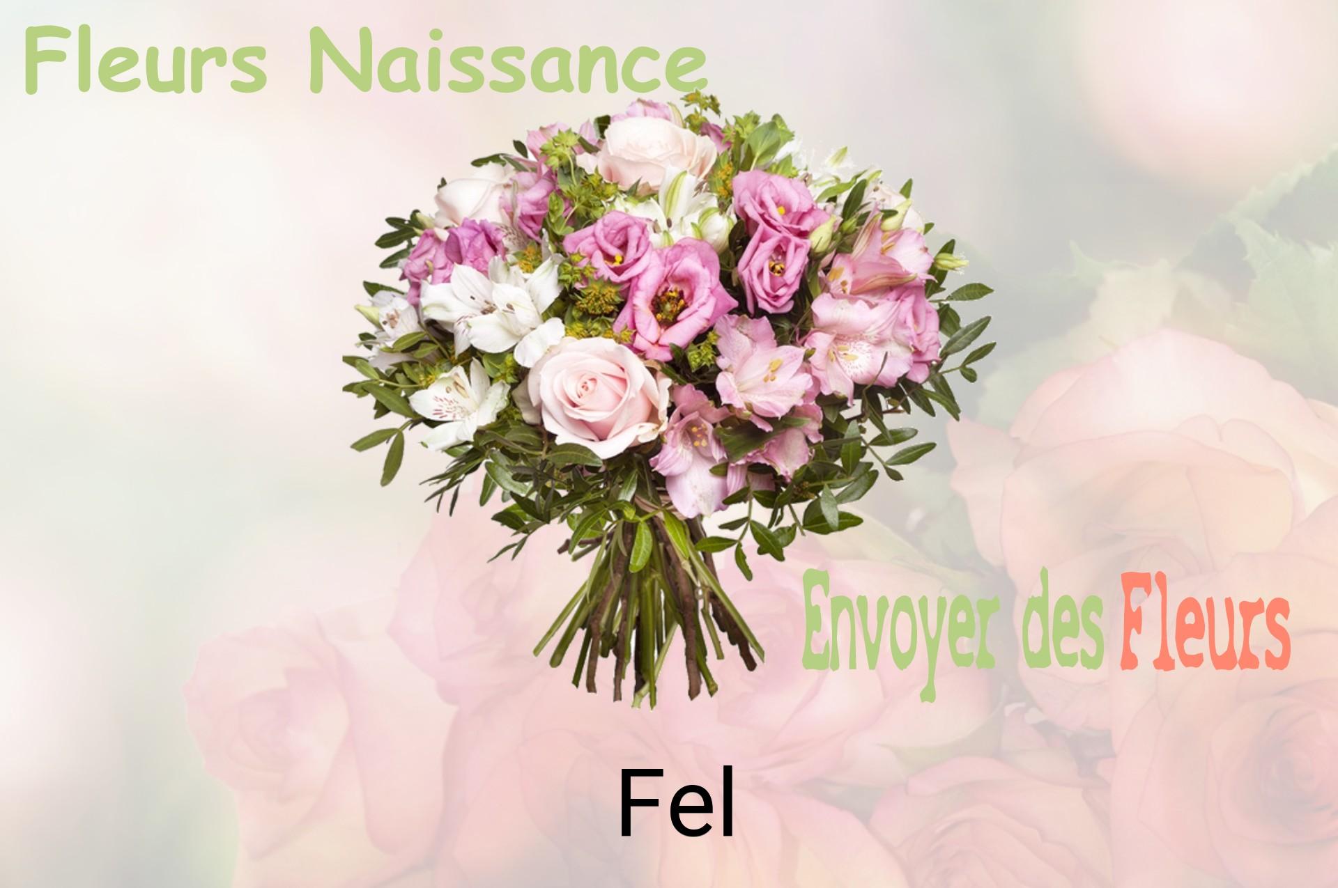 Bouquet de fleurs de naissance livré à Fel