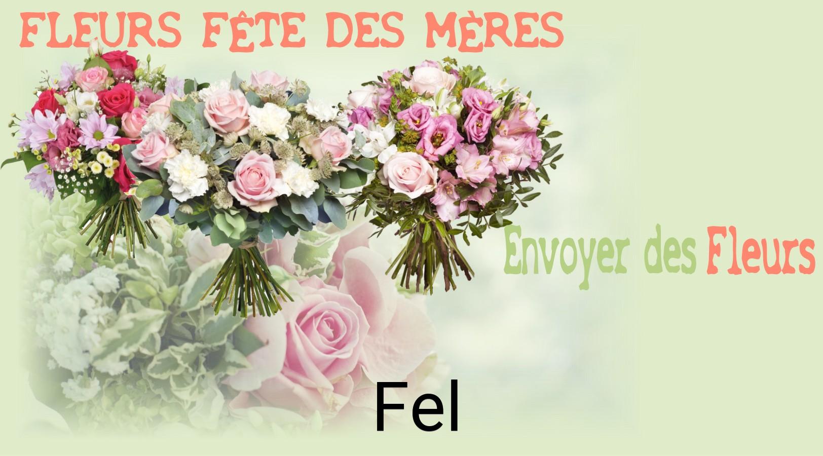 Bouquet de Fête des Mères livré à Fel